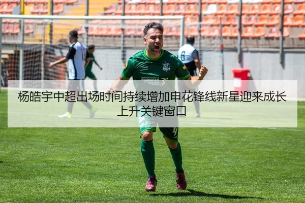 杨皓宇中超出场时间持续增加申花锋线新星迎来成长上升关键窗口